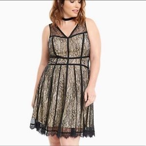 Black & Nude Lace Dress